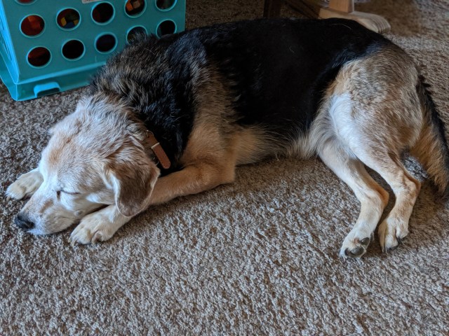 00100dPORTRAIT_00100_BURST20191018104011260_COVER